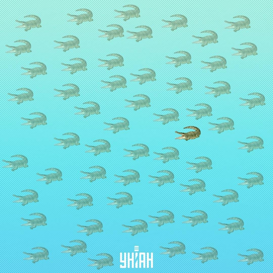 Bilo je potrebno potražiti ga bliže centru, s desne strane / Kolaž Moje