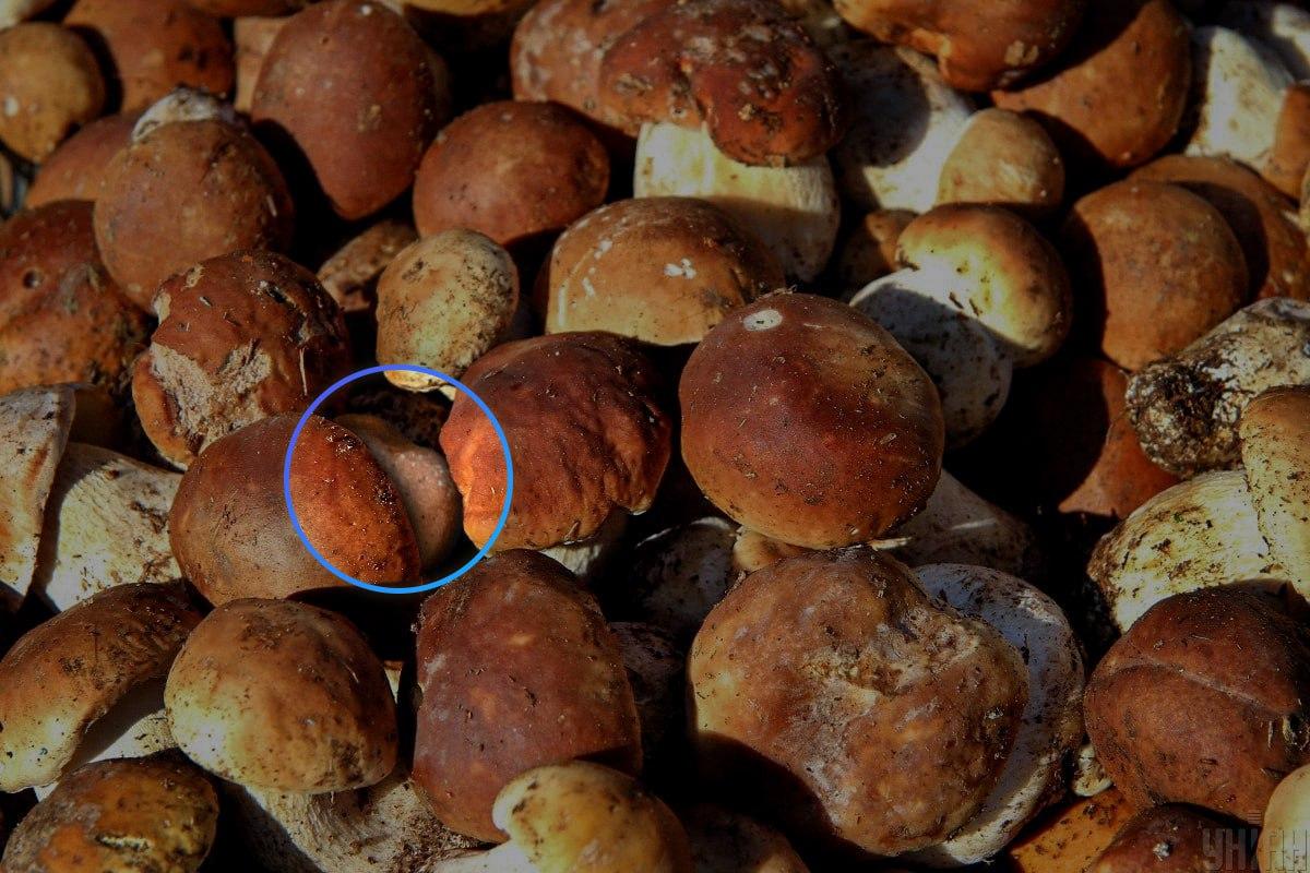 Kamen je bio gotovo u središtu optičke iluzije / Moje kolaž