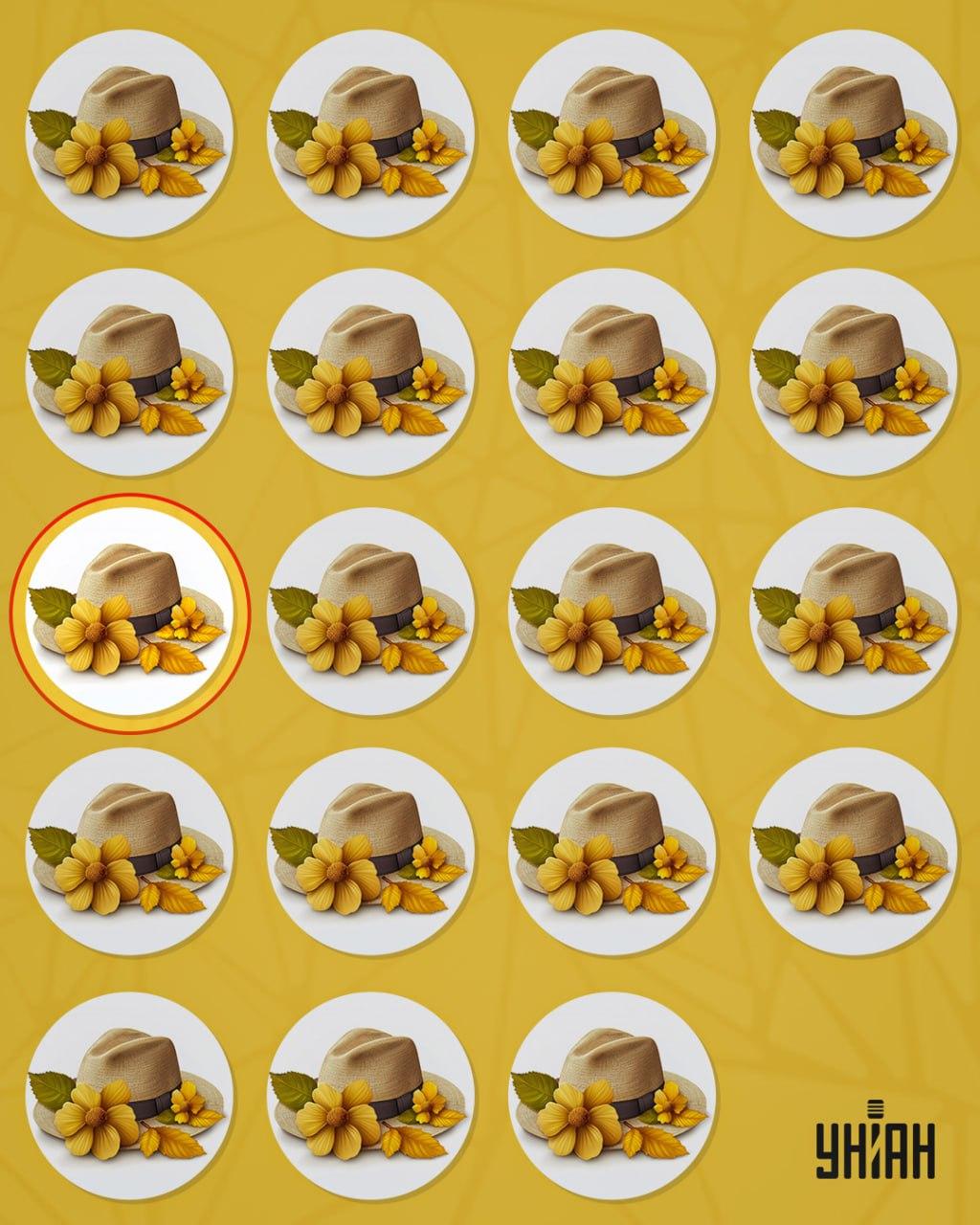 Čudan šešir razlikovao se od ostalih malim detaljem / kolaž Moje