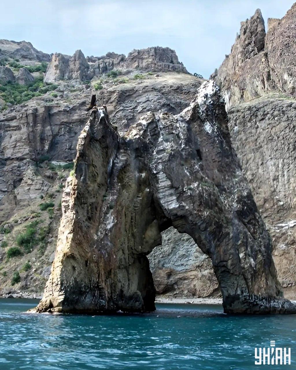 Morate pronaći orla na slici zagonetke za manje od 10 sekundi / kolaž s fotografijama Moje