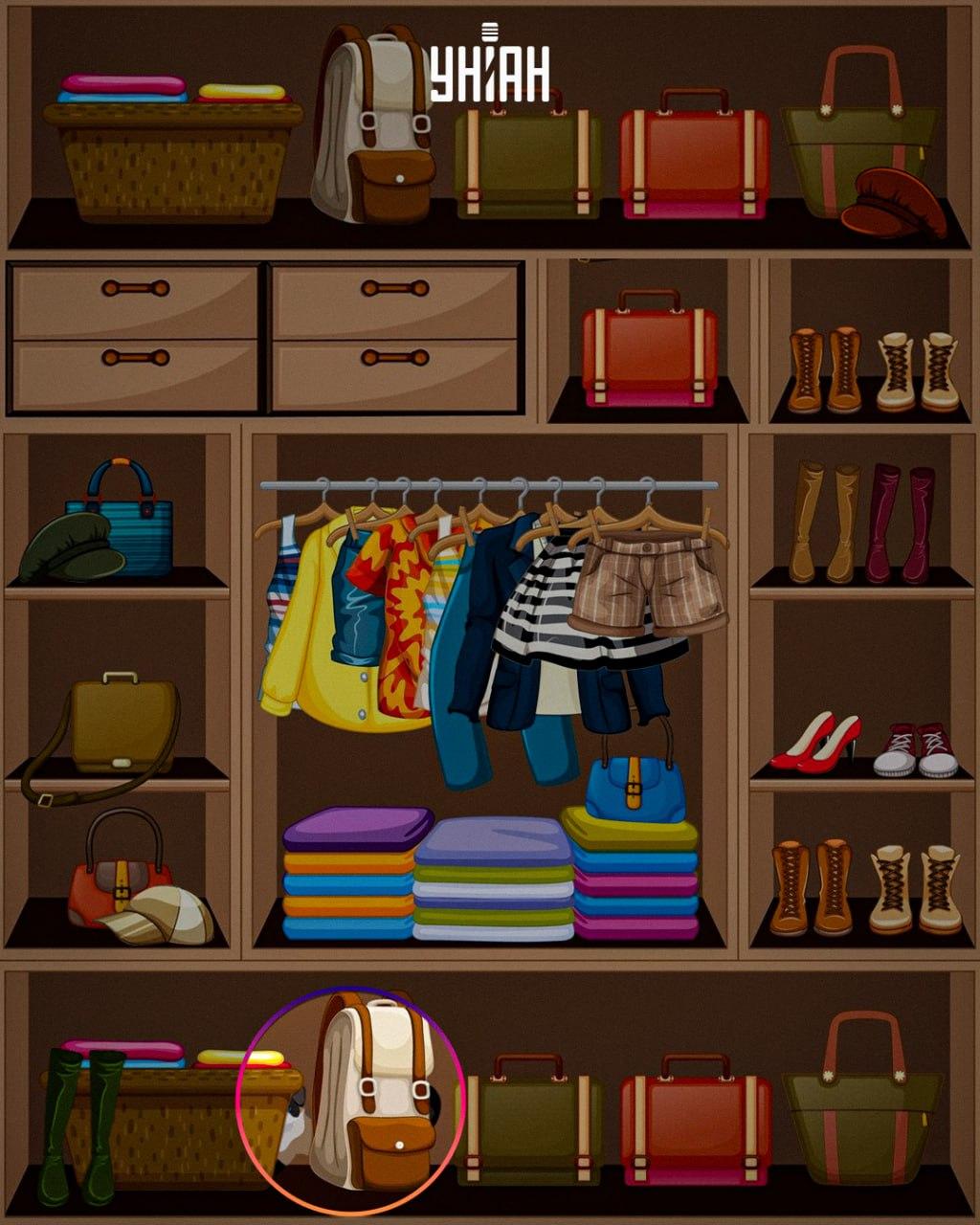 Lukava životinja postavljena je na dno slike / kolaža Moje