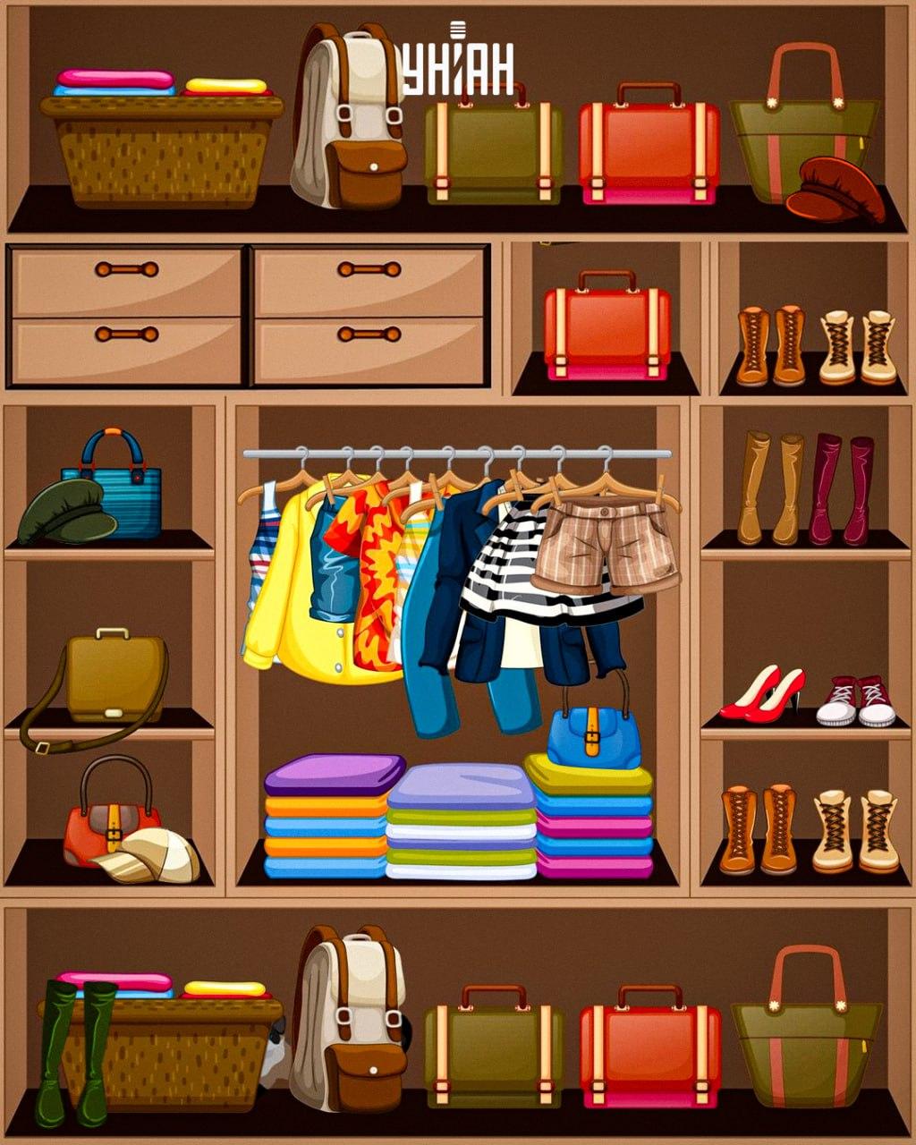 Moramo pronaći lukavu mačku / kolaž Moje