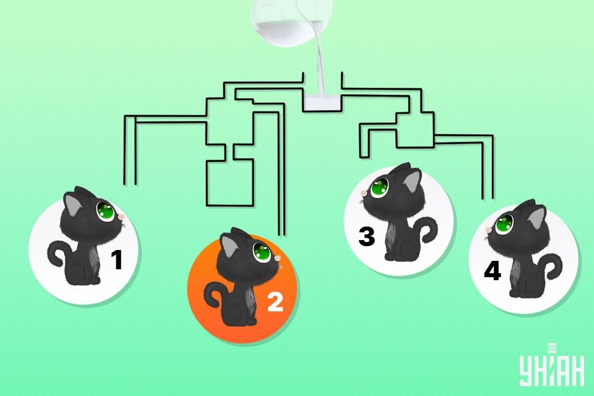 Sretna mačka bila je broj 2 / kolaž Moje