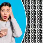 Gdje su skriveni 86 i 35: samo najpažljiviji će pronaći