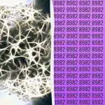 Jednostavan IQ test: pronađite neparan broj u 9 sekundi