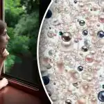 Optička varka za najpažljivije: samo će genijalci pronaći skriveni dijamant