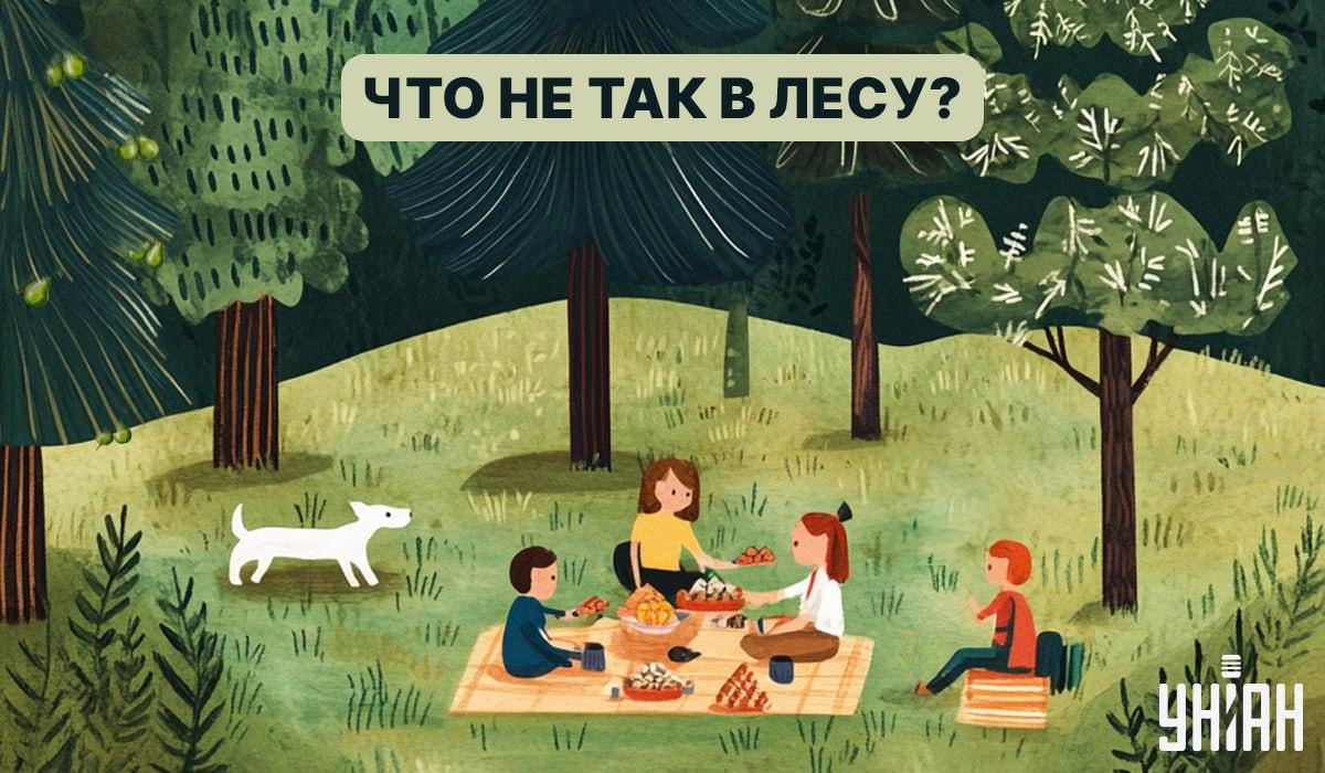 Pronađite bubu u šumi za 5 sekundi: brzi IQ test