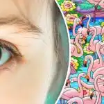 Pronađite djevojku među flamingosima za 8 sekundi: ova će vam
