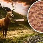 S tim se mogu nositi samo ljudi s visokim IQ-om: