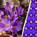 Samo 1% ljudi može pronaći riječ "crocus" u 11 sekundi: