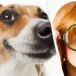 Samo pravi IQ titan će vidjeti psa u snijegu za 10 sekundi: optička iluzija koja oduzima dah Samo pravi IQ titan će vidjeti psa u snijegu za