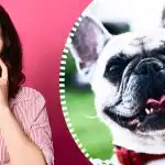 Super složena optička iluzija: samo pravi detektiv će pronaći psa